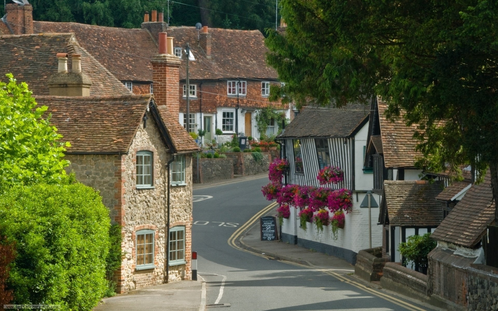 flowers narrow street turning street europe home architecture vegetation greens trees road roof tile turn city building houses kent village england