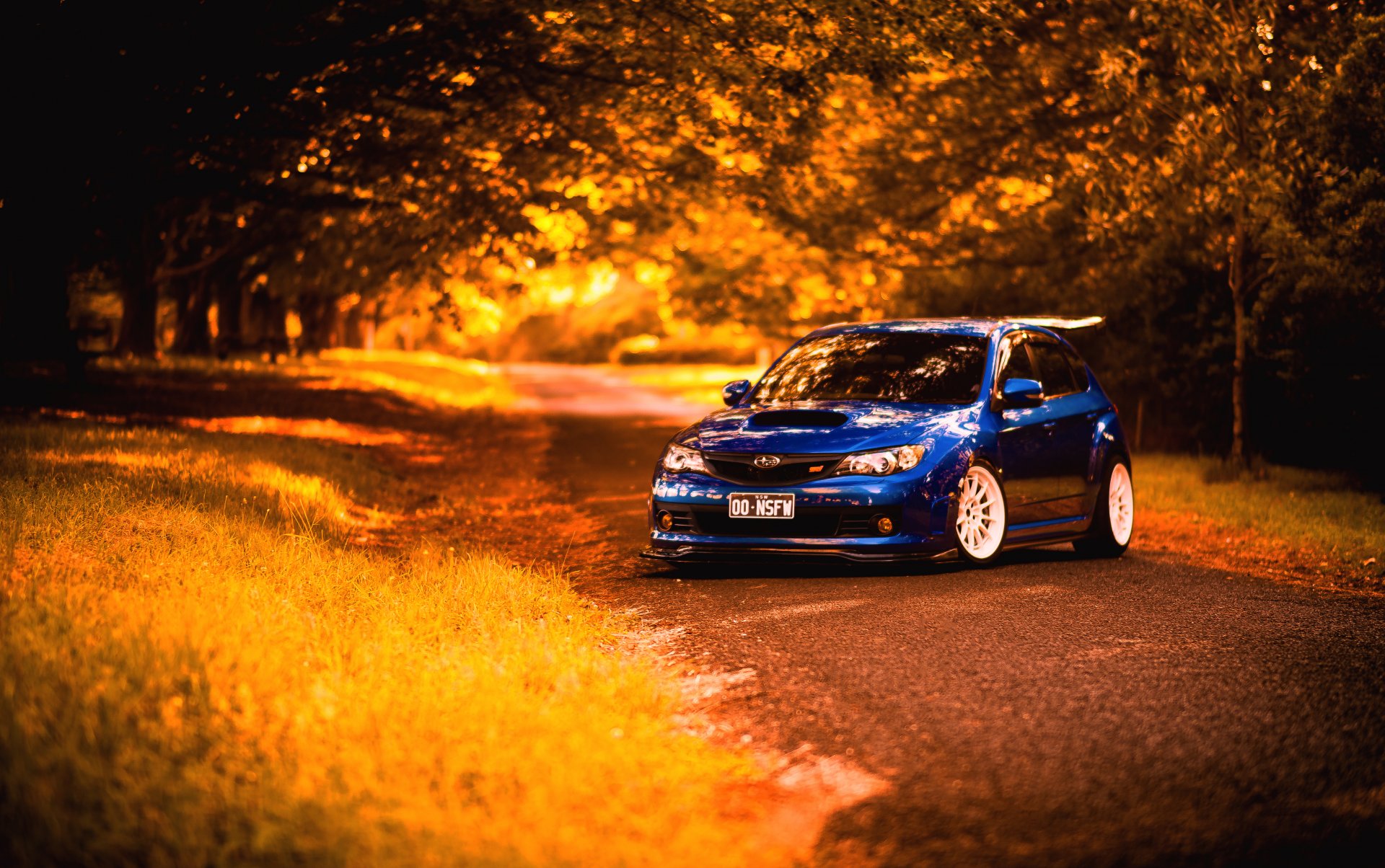 ubaru impreza sti blue subaru impreza blue autumn