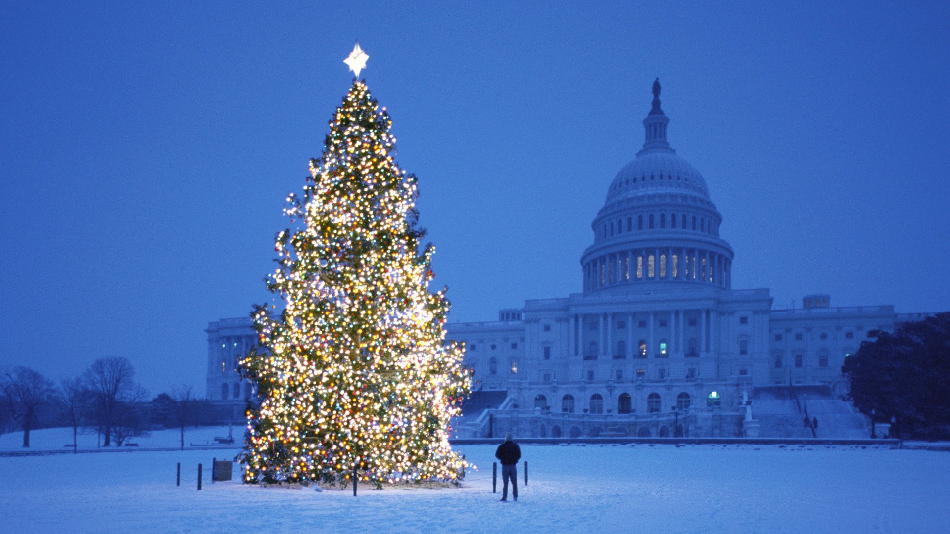 bañado año nuevo árbol de navidad plaza noche invierno nieve vacaciones luces arquitectura edificio ciudad cúpula hombre decoración bolas