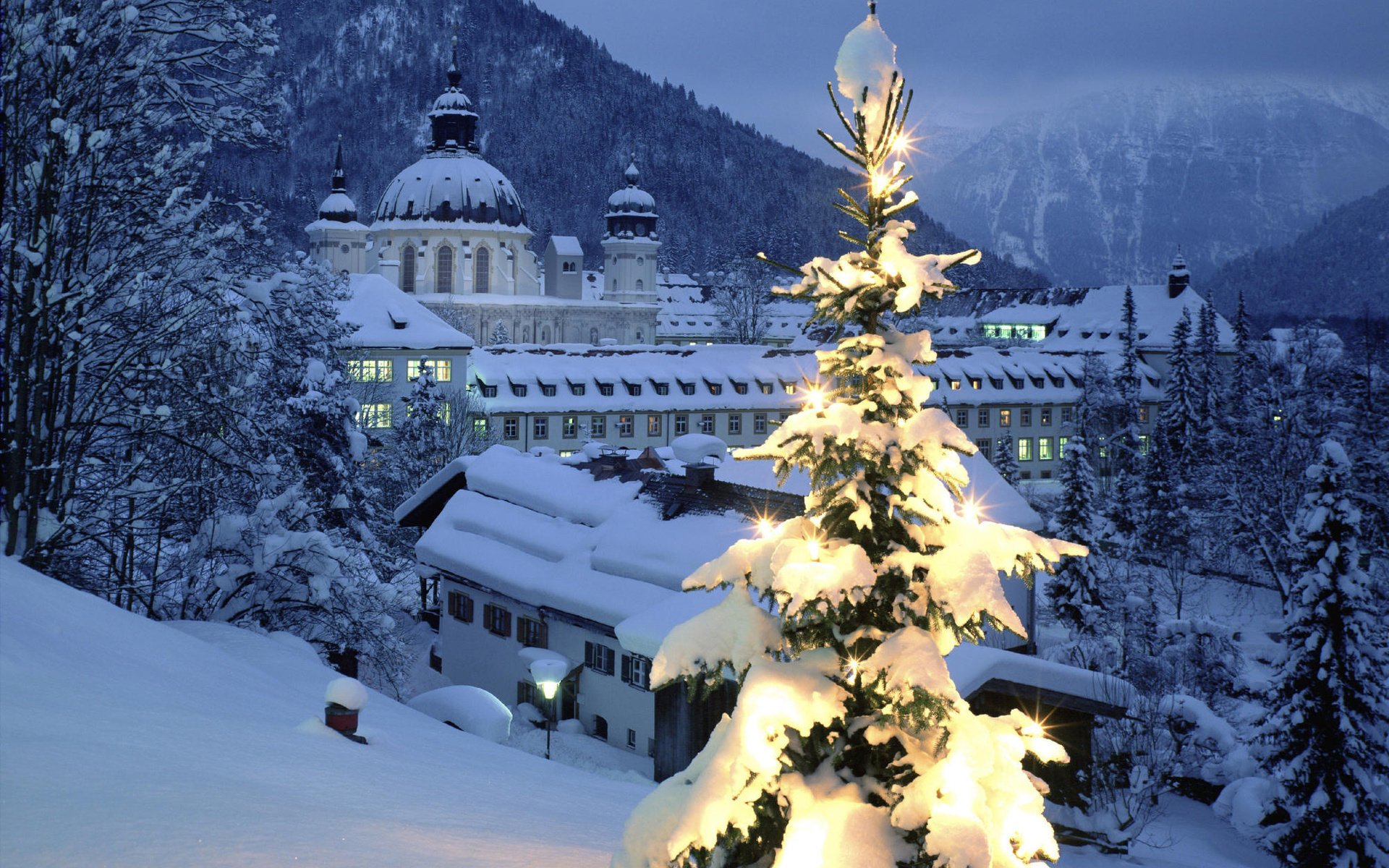 invierno año nuevo vacaciones nieve árbol de navidad luces iluminación arquitectura domos edificios luz linternas noche derivas árboles naturaleza ciudades luces de la ciudad