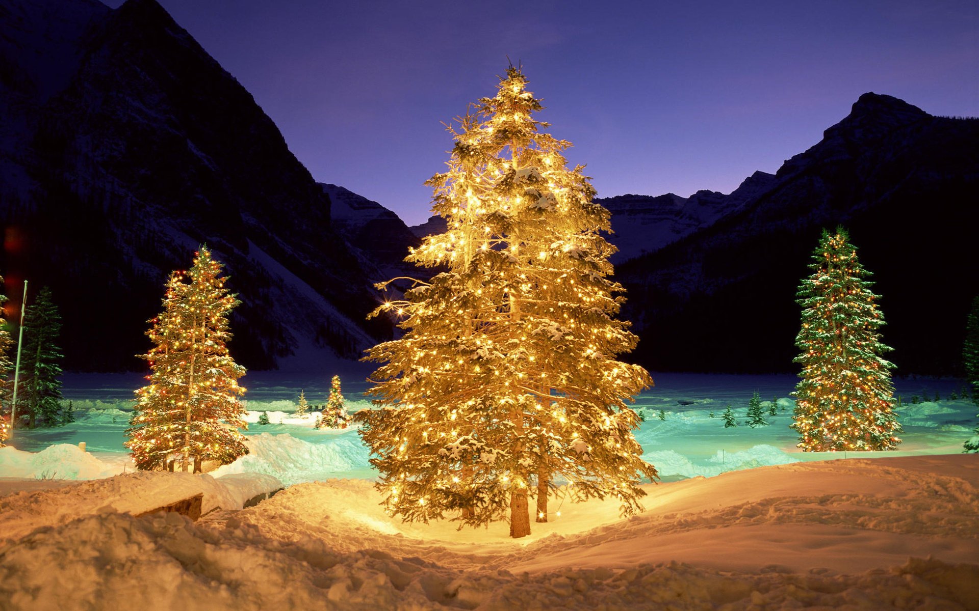 holiday tree the sky the evening lights new year the snow snow winter balls garland decoration mountains nature frost