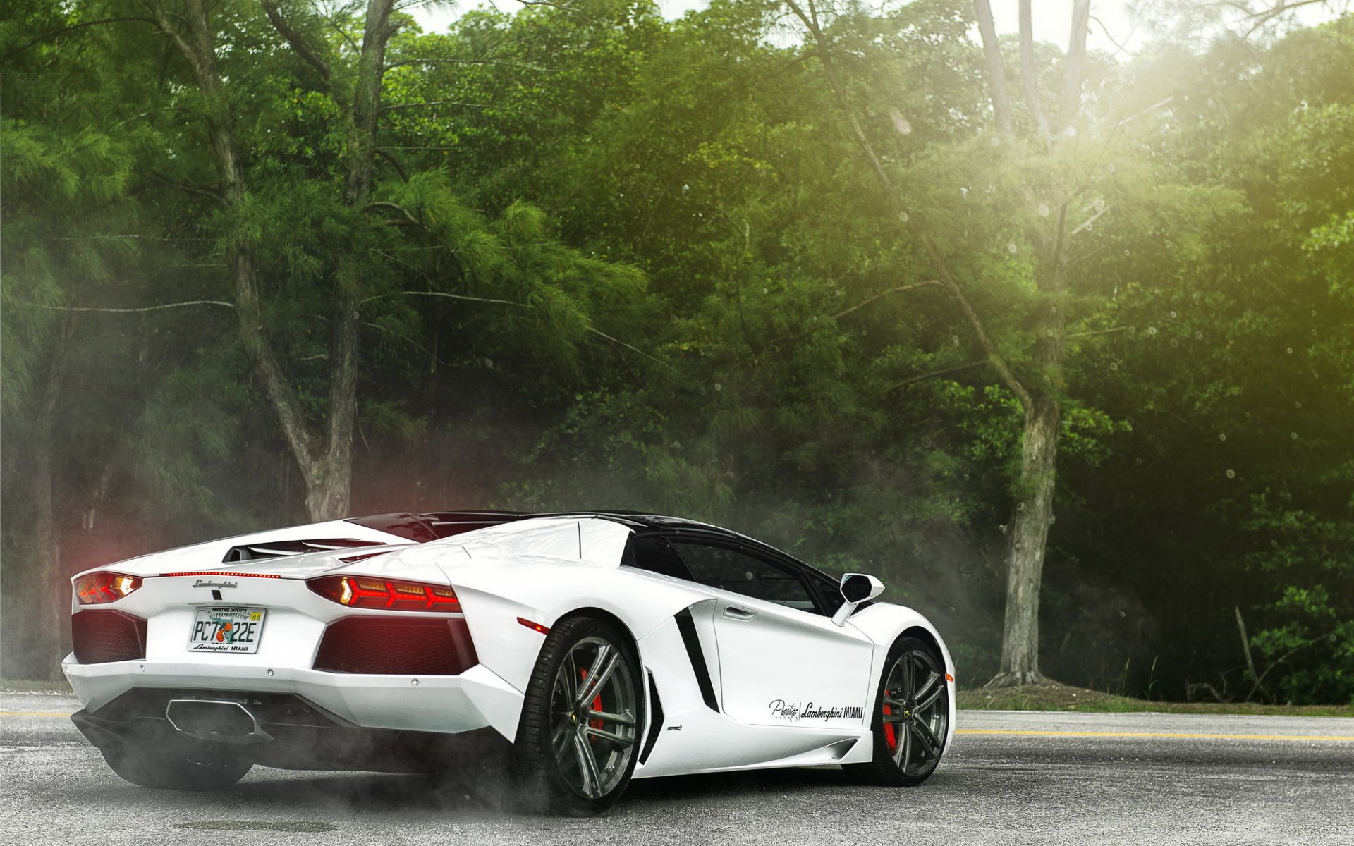 lamborghini aventador supercar white lamborghini