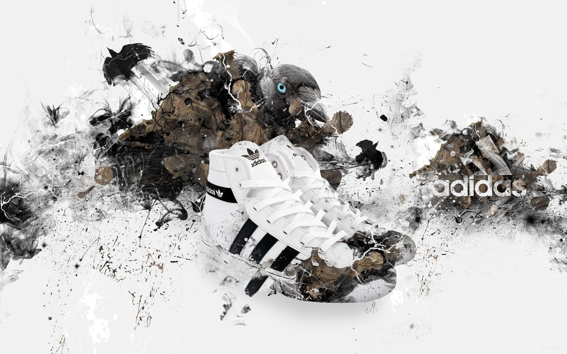 cebercap not krasovki animali uccelli creativo adidas scarpe bianco e nero