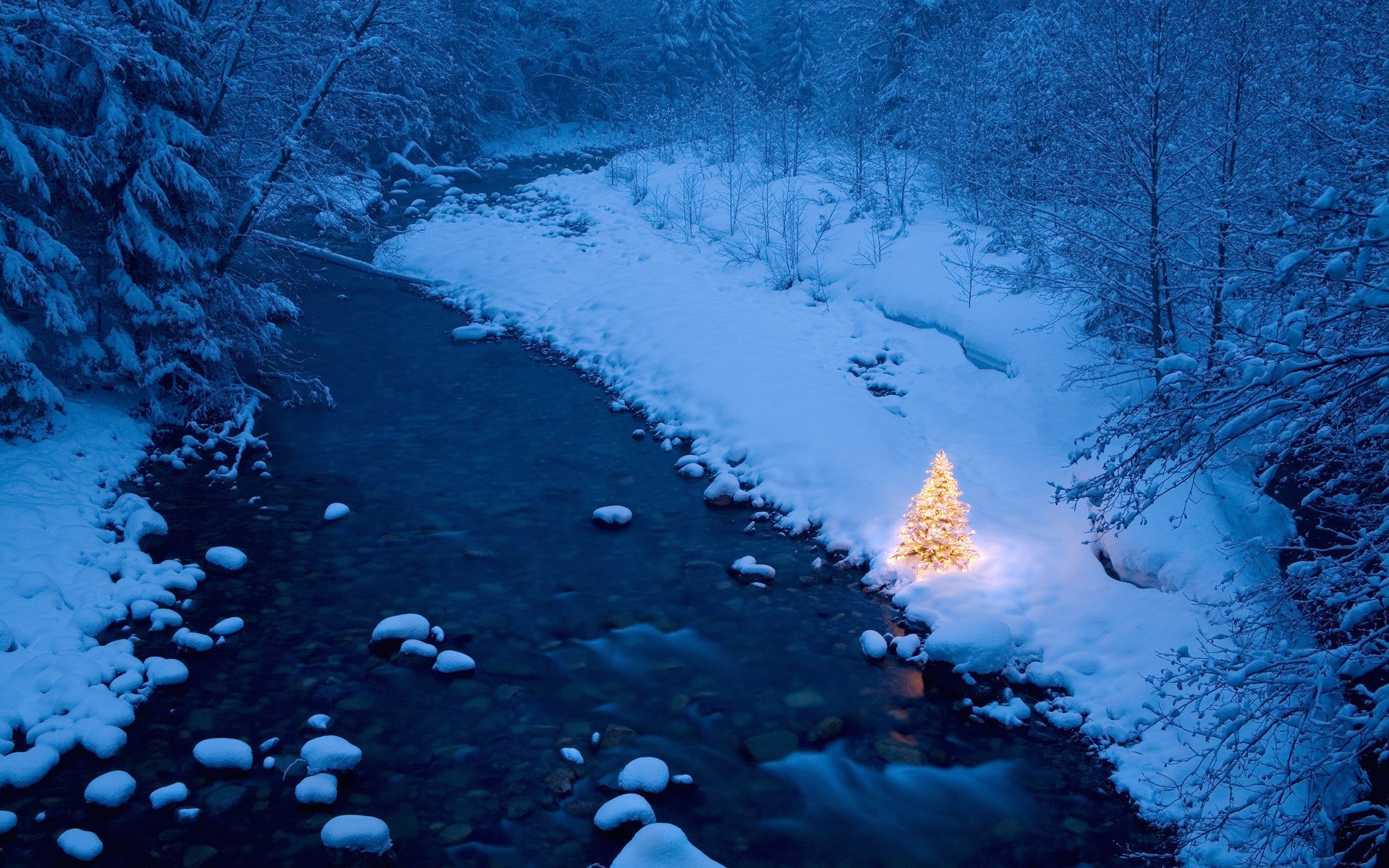 geschmückter weihnachtsbaum neujahr weihnachtsbaum fluss steine wald bäume frost strömung natur landschaft lichter helles licht winter schnee draufsicht drifts dickicht winter neujahr girlanden