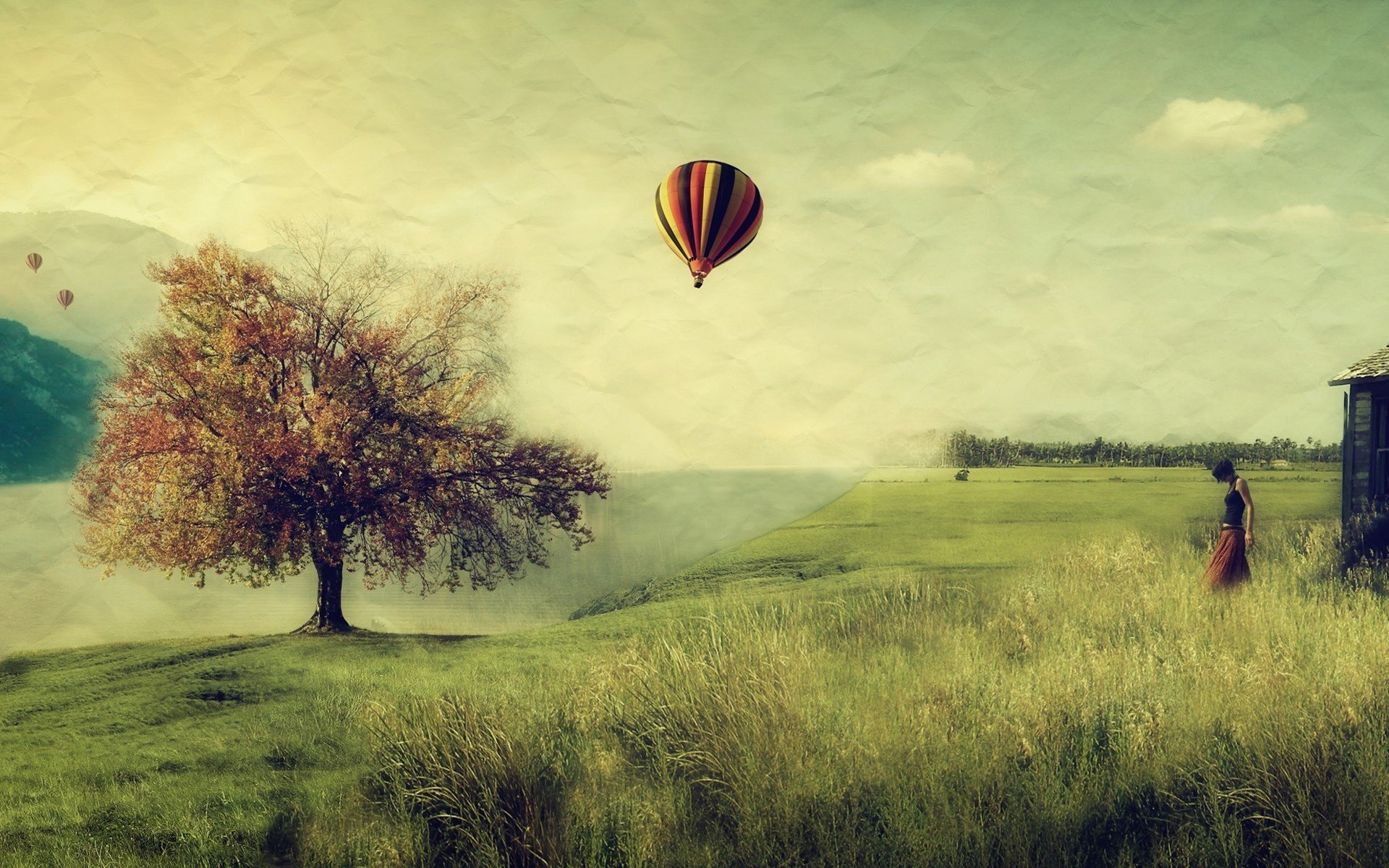 kochen köthen natur landschaft ballon ballon fliegen mann baum feld wolken