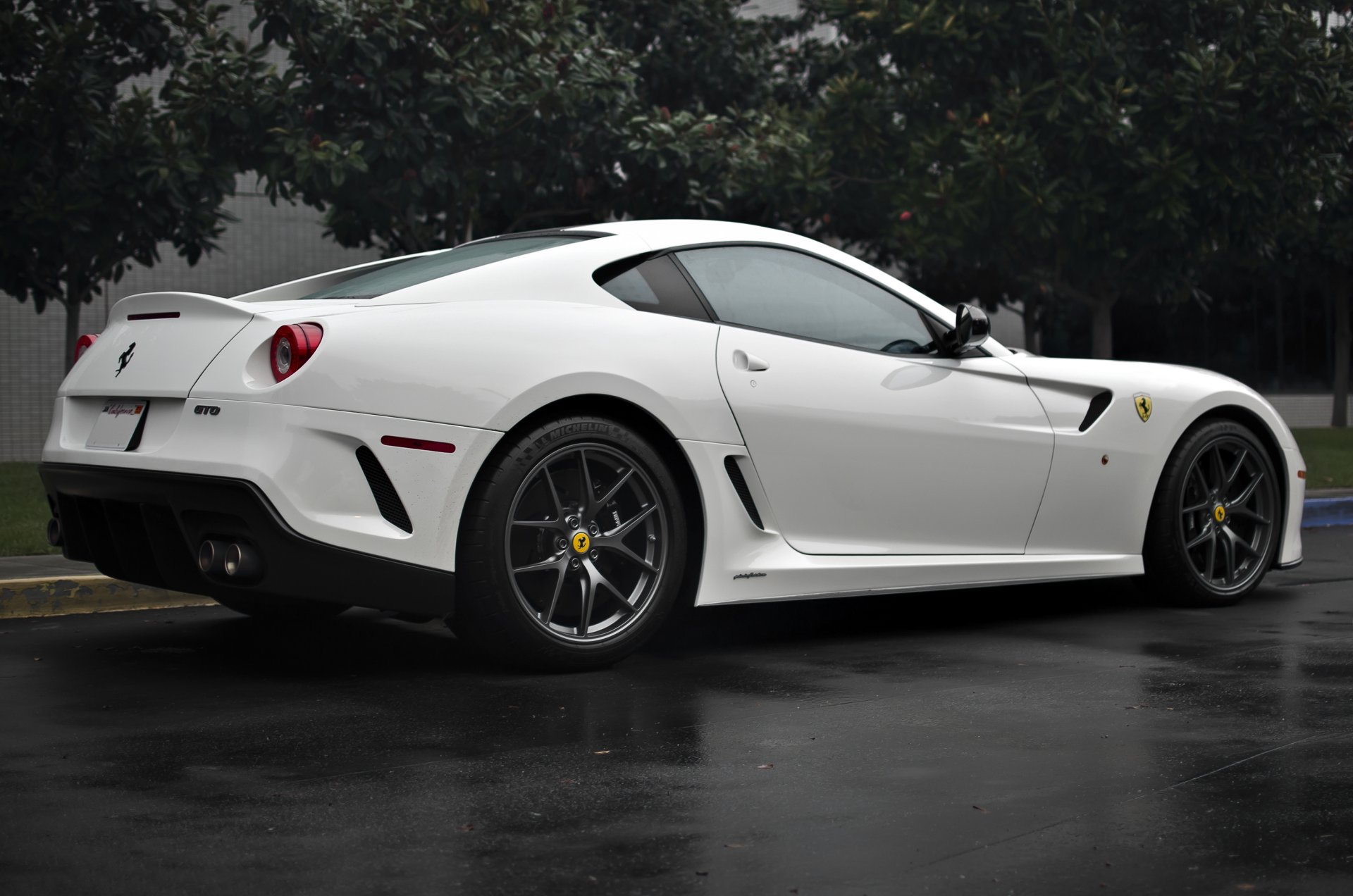 ferrari gto white back wood ferrari tree