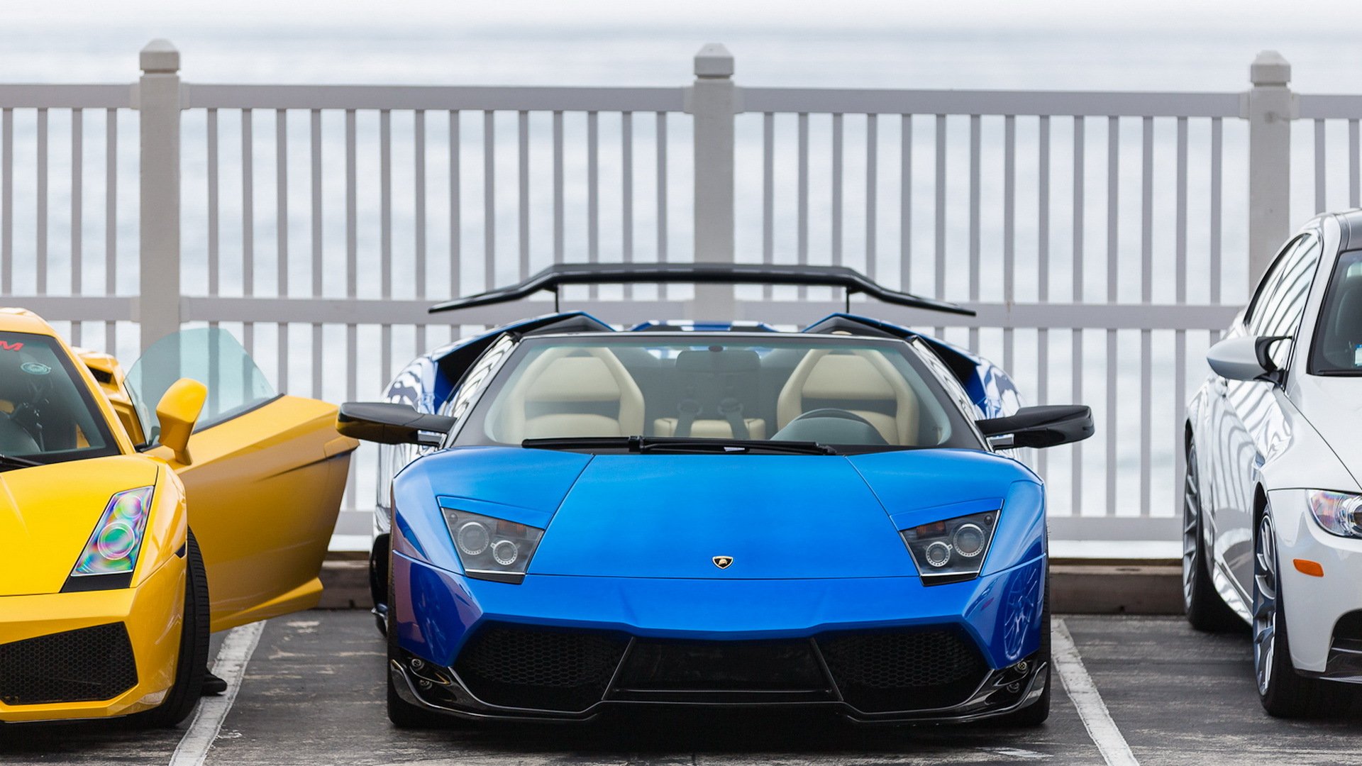 lamborghini murcielago roadster gallardo bleu jaune bmw