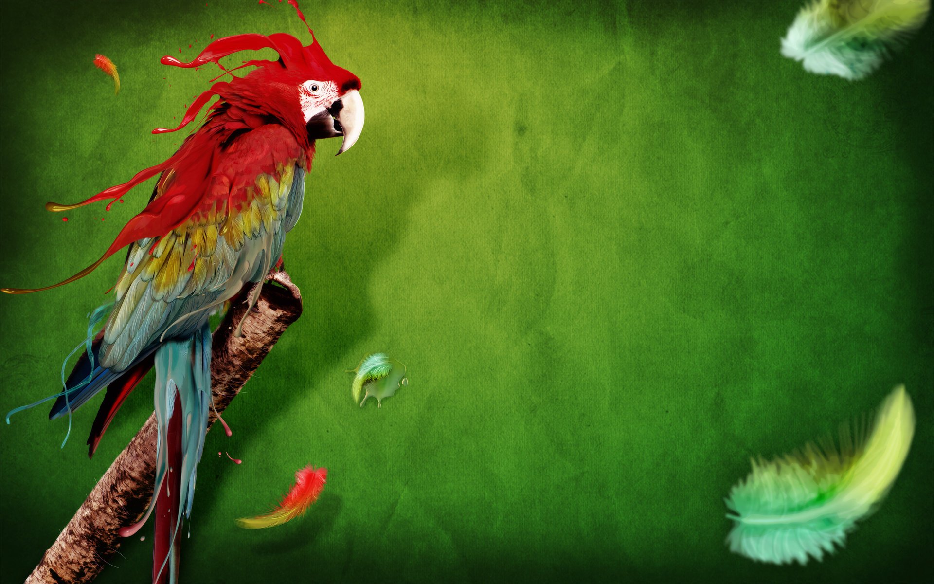 parrot bird feathers color paint background green animals bird