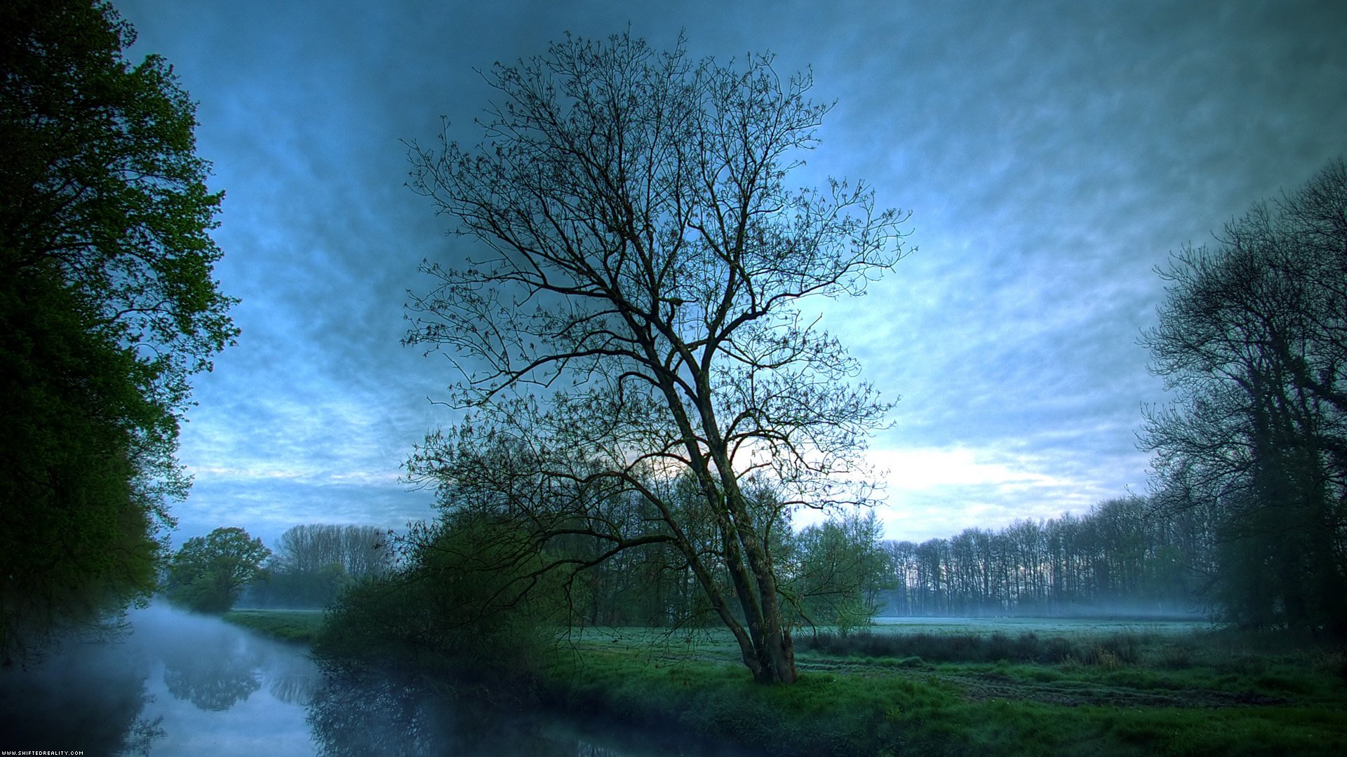 red blay nature water river trees the sky forest fog