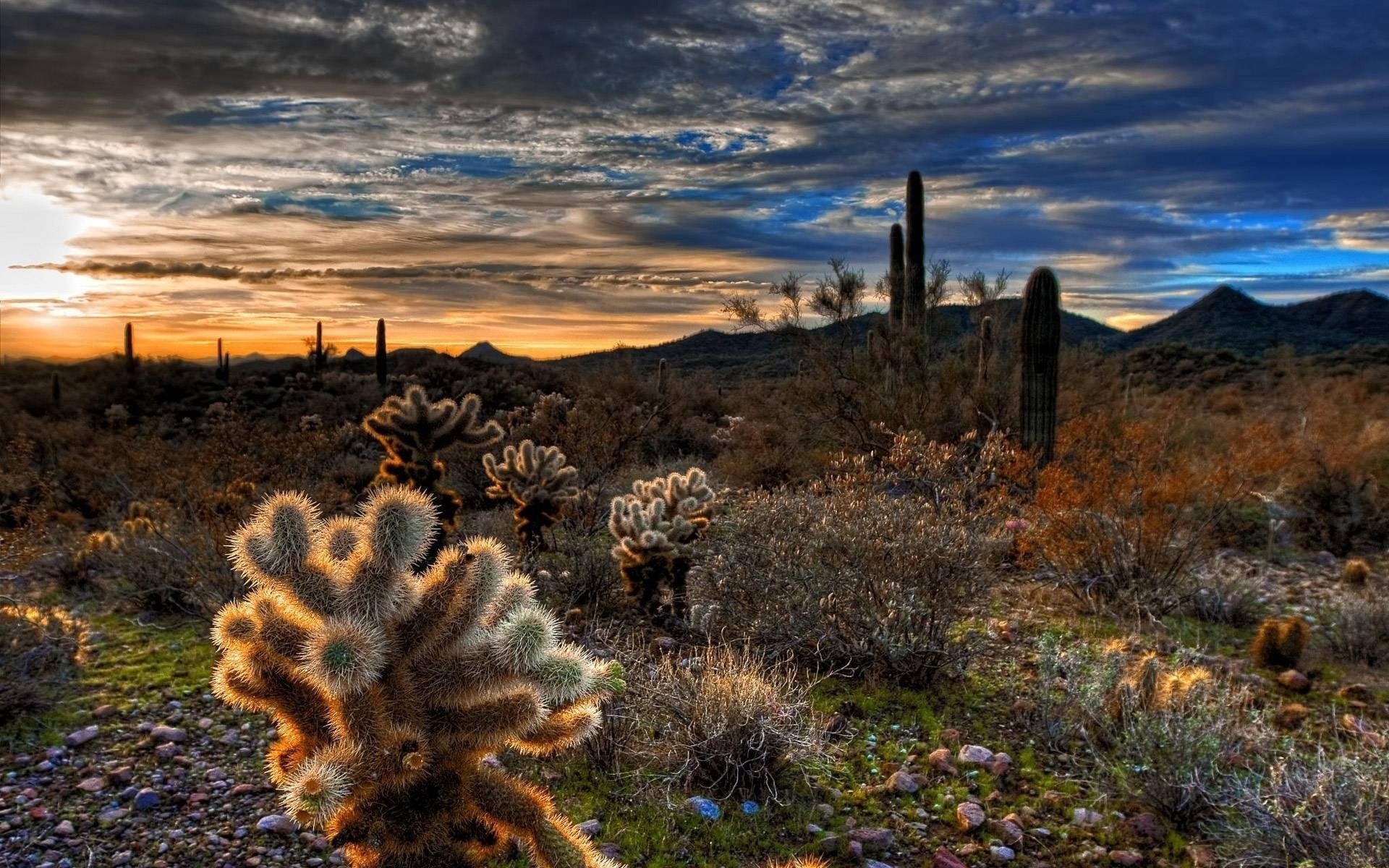 cook kate the night sky horizon sunset mountains nature cacti plants landscape the sky the evening stones relief hills valley cloud