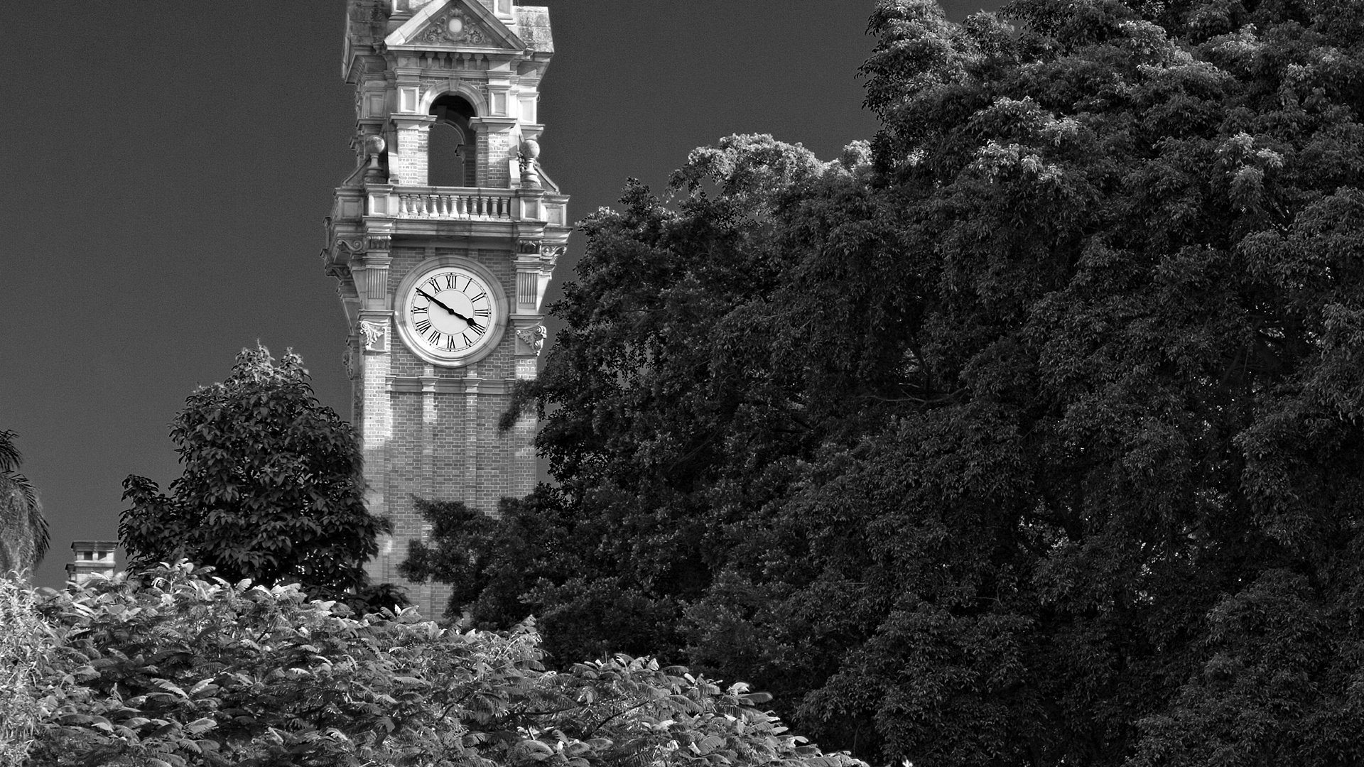 pic nic árboles torres ciudades reloj blanco negro capilla corona parque arbustos matorrales b-w