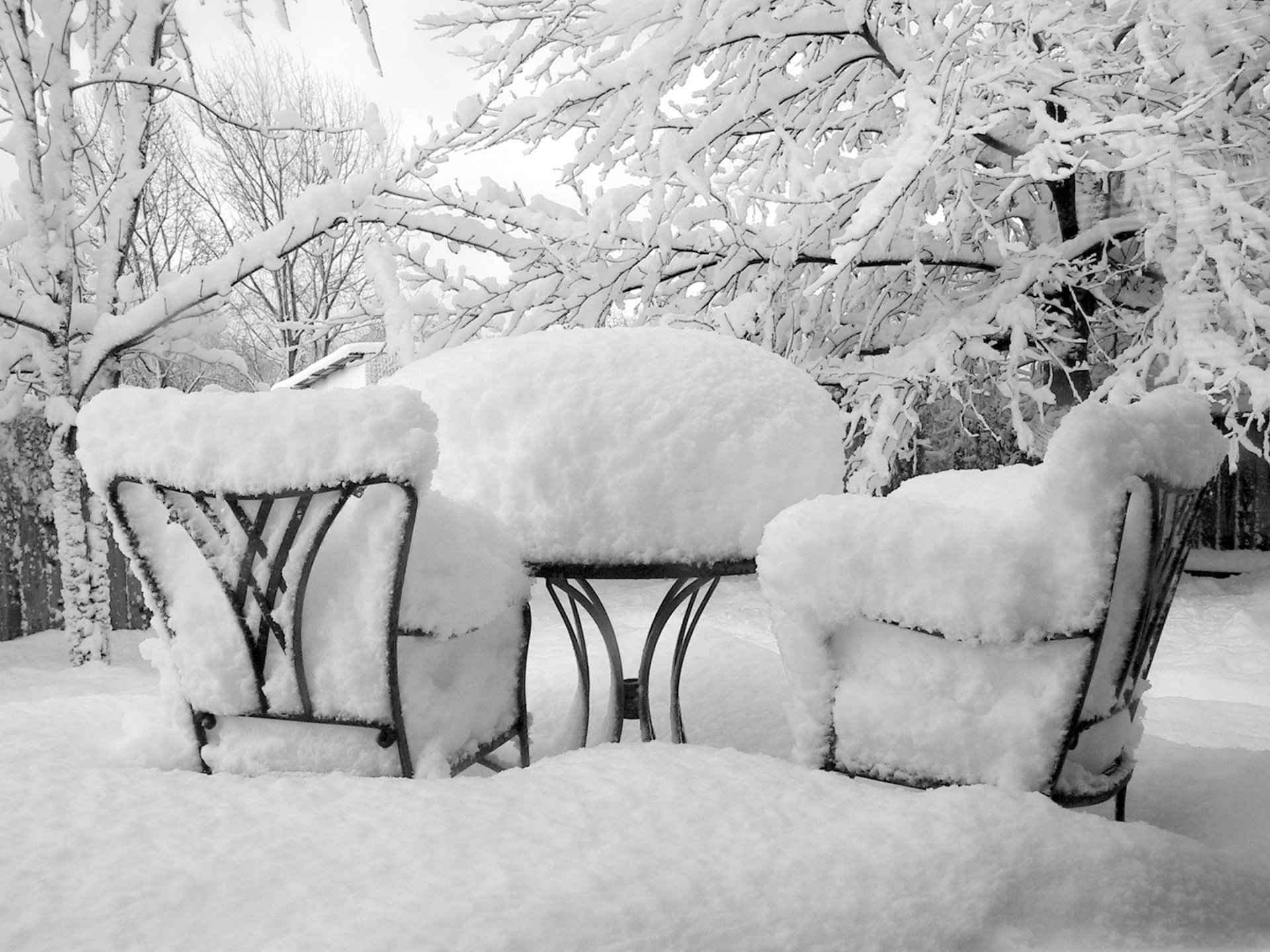 ramas en la nieve mucha nieve invierno jardín sillas nieve derivas mesa árboles cubiertos de nieve árboles