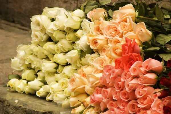 A huge bouquet of white and pink roses