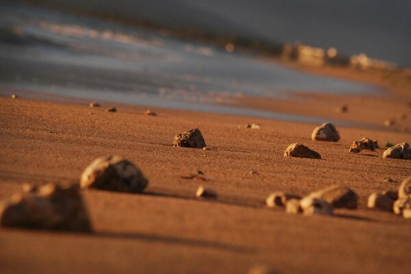 Sandy, rocky beach. Coast