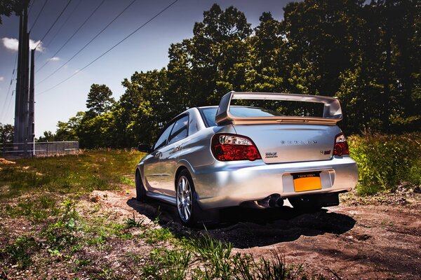 Silver sports car on the background of a tropical forest