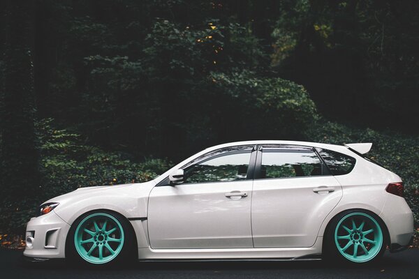 Subaru impreza white among the trees