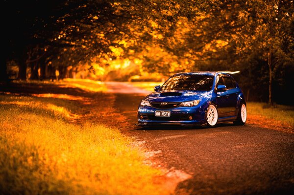 Coche azul en el fondo del bosque de otoño