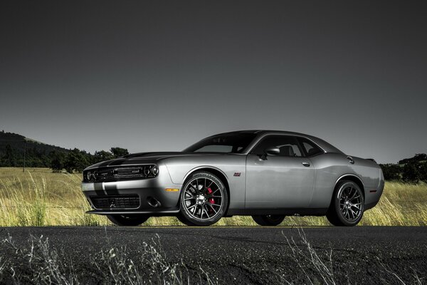 Mächtiger Dodge Challenger steht auf der Fahrbahn