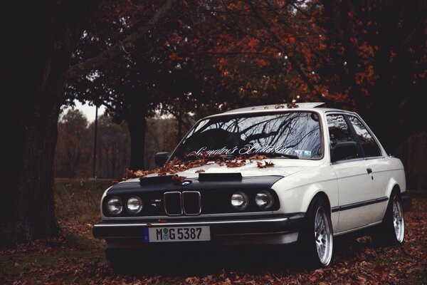 BMW inmitten der Herbstlandschaft und der gefallenen Blätter