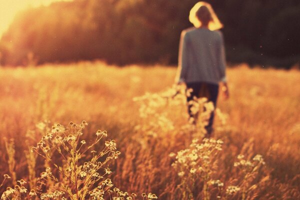 Girl in a field of daisies, sunset