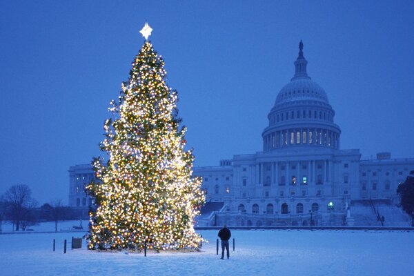 Árbol de Navidad luminoso en una Plaza vacía