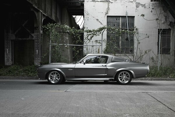 Silver ford mustang gt500 in the city