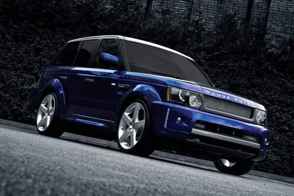 Blue regge Rover en un hermoso estante