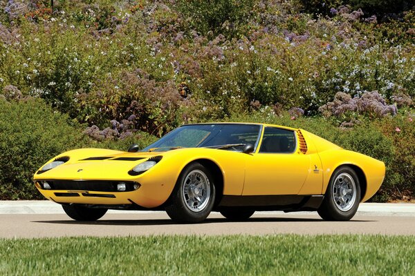 Leyenda de la industria automotriz lamborghini Miura en color amarillo