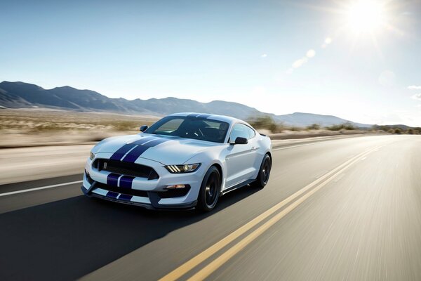 Mustang Shelby sur une piste désertique à grande vitesse