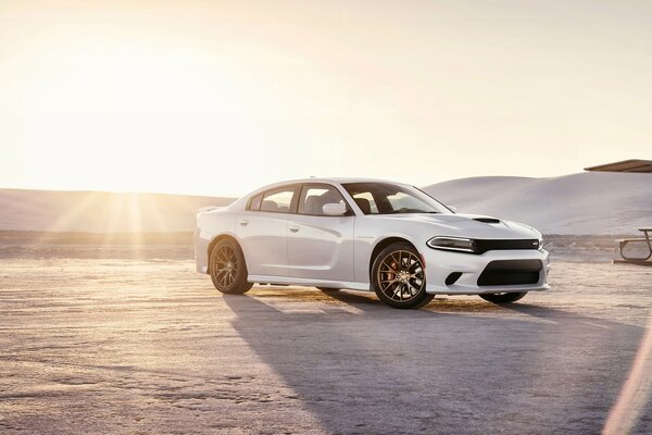 White car in the desert on the background of sunset