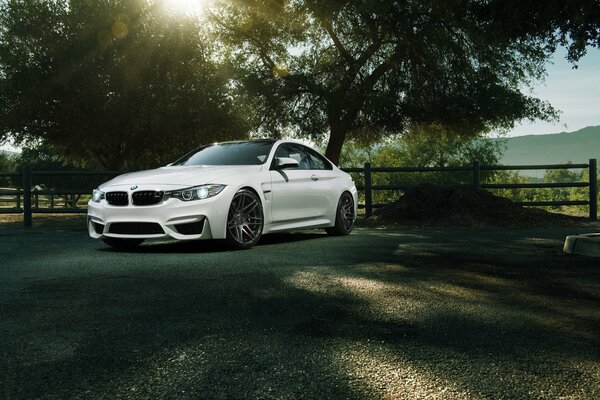 BMW blanco en el corral a la sombra de los árboles