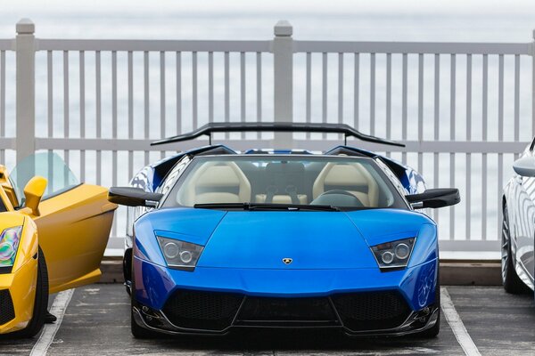 New impressions and colors from Lamborghini