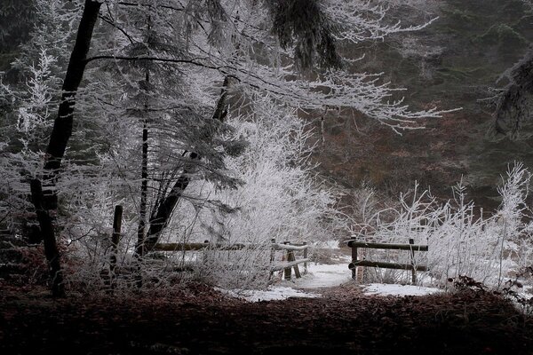 Im Winter ist die Natur besonders prächtig