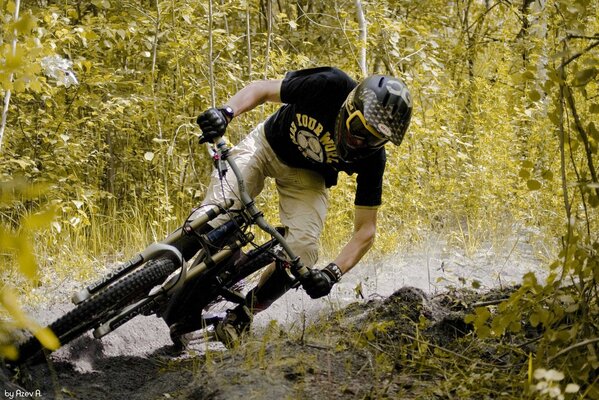 Radfahrer bei Rennen im Wald im Moor