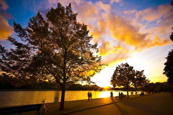 Beautiful sunset, sunset in the park