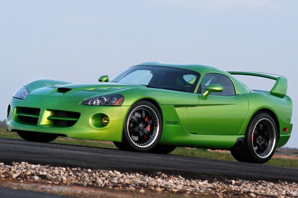 Voiture de sport verte debout dans la nature