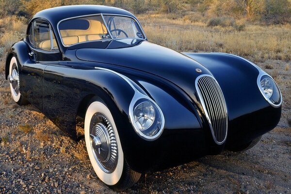 Black retro car with a grid on the field