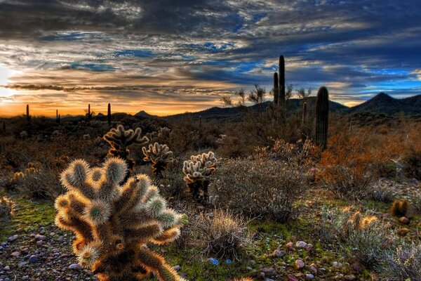 Sunset in the mountains, cacti, relief valley