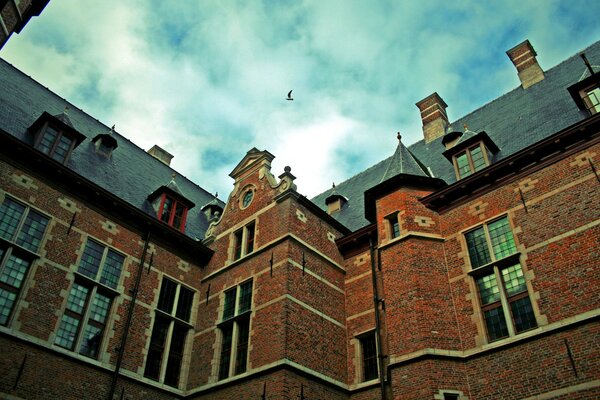 Photo of the building and the sky with a bird