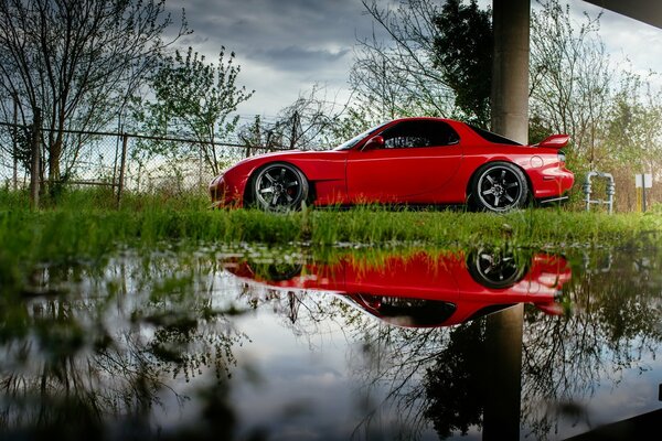 Voiture rouge se reflète dans l eau