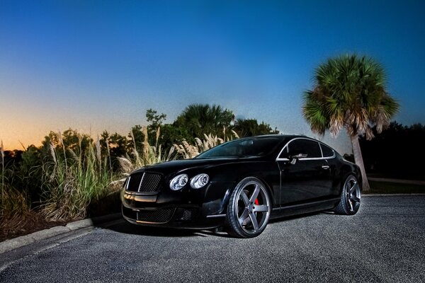 Obraz czarnego samochodu bentley continental gt na tle natury