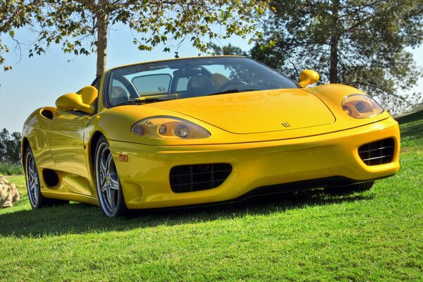 Yellow Ferrari 360 convertible is standing on the lawn