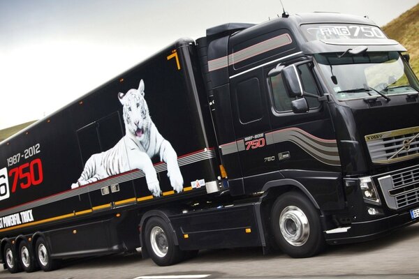 Camion Volvo avec tigre blanc sur remorque