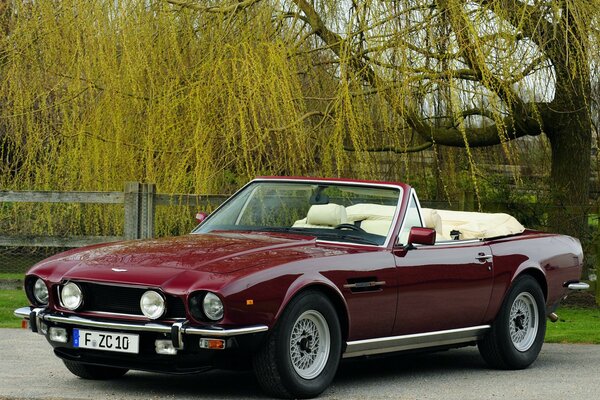 Hermoso y brillante coche convertible estilo Borgoña