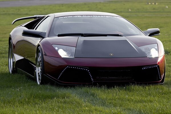 Lamborghini murselago rosso nel campo sull erba verde