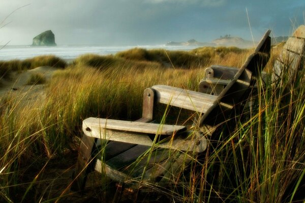 A wooden chair in a thicket of tall grass