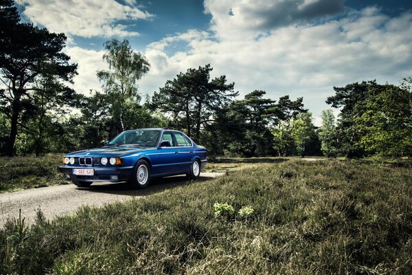 Clásico azul BMW 535i entre los árboles