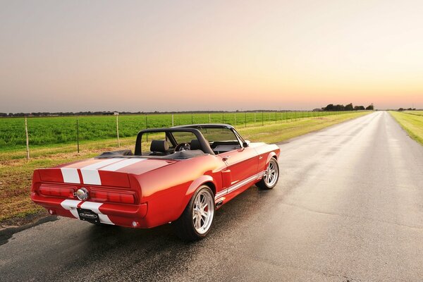 Ford Mustang rouge avec des rayures sur fond de ciel et de la route avec le champ