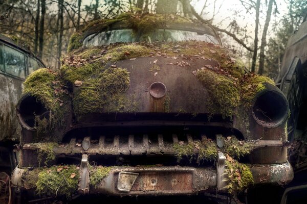 The old car in the parking lot is covered with moss