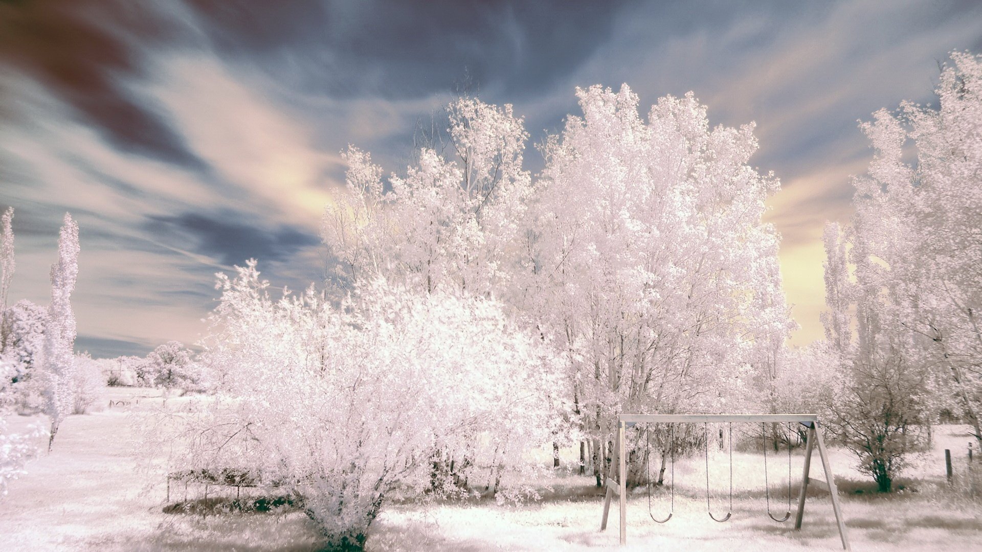 nature blanche comme neige neige partout hiver neige givre ciel balançoire